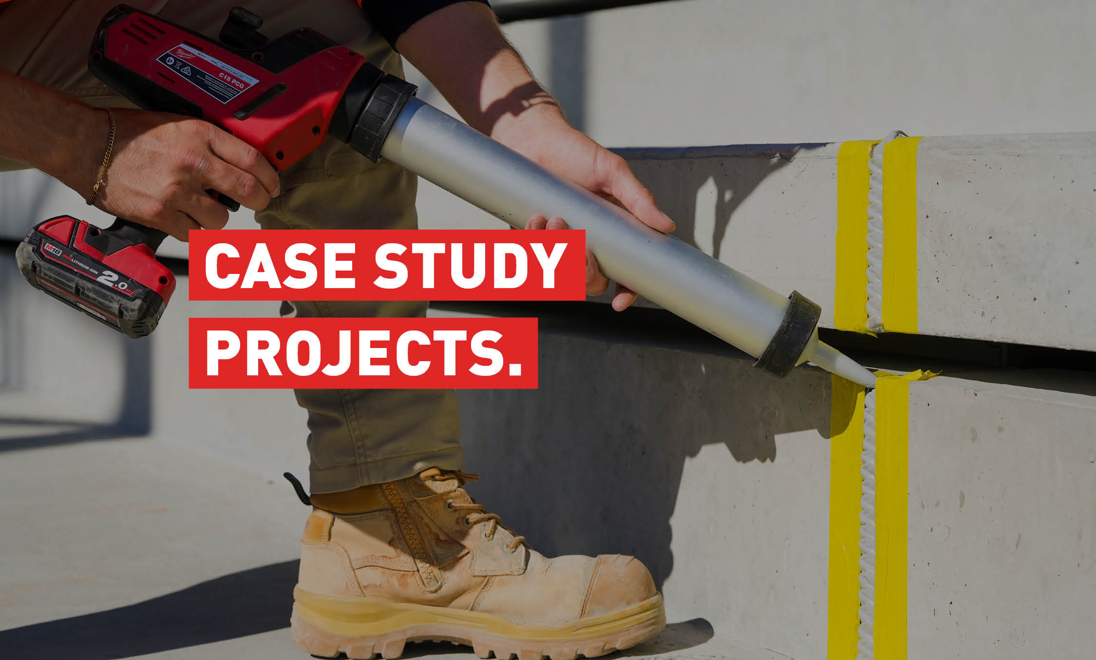 Case Study Projects
